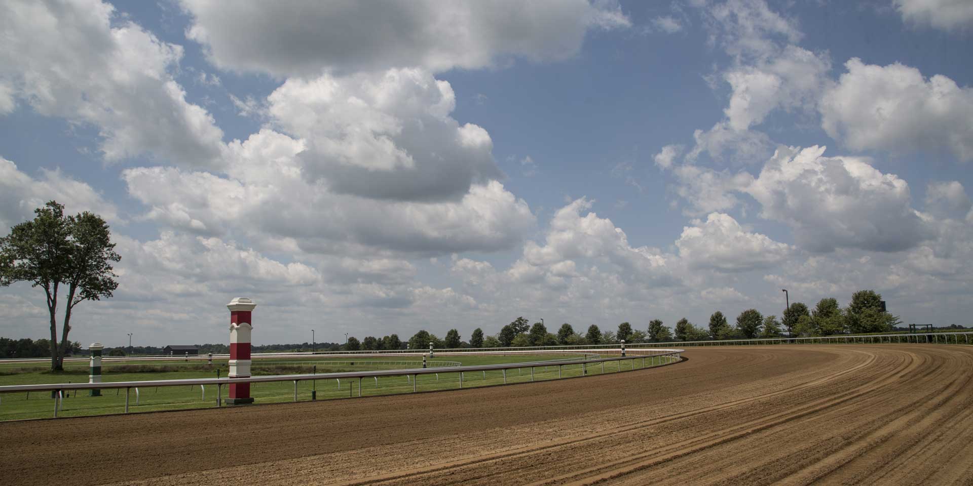 A wide shot of one of Swiftjockey’s dirt tracks.